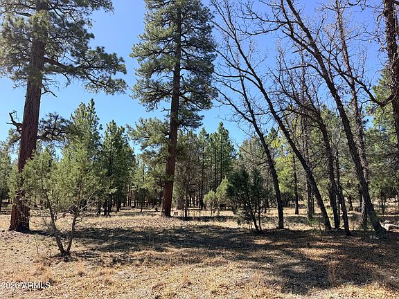 5th image of 1755 SUGAR PINE Drive #232