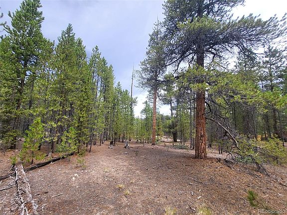 3rd image of 891 Sequoia Drive