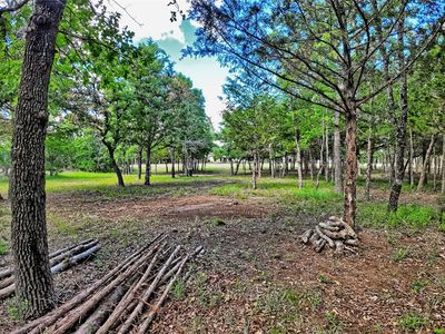 Oak Cove Ct, Bowie, TX, 76230