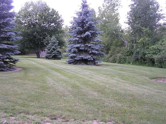 lovely landscaped yard 
