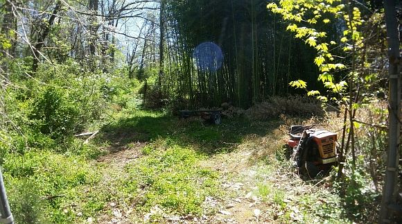 2nd image of 1726 Skyline Dr