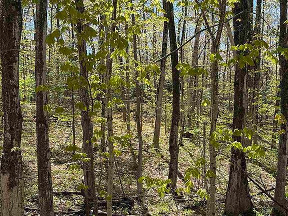 2nd image of Island Woods Road Lots 412 #413-447