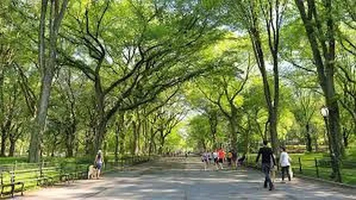 Rented by Alpha Properties NYC I LLC | media 30