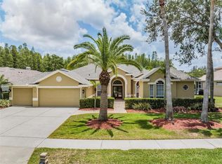 5401 Reflections Blvd, Lutz, FL 33558