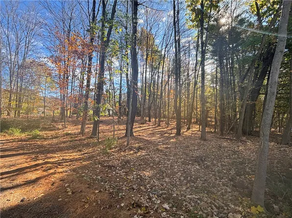 0 Lake Shore Dr S, Maryland, NY 12116