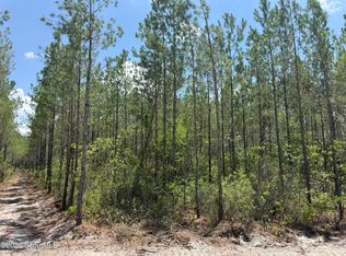 10 Corbitt Rd, Manor, GA 31550
