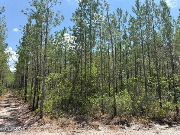 10 Corbitt Rd, Manor, GA 31550