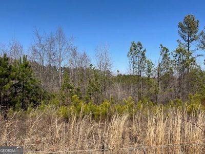 0 Five Points Rd, Buchanan, GA, 30113