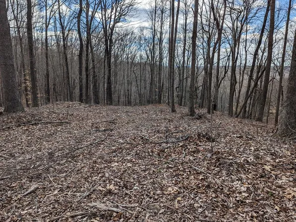 1 Chestnut Hills Rd, Burkesville, KY 42717