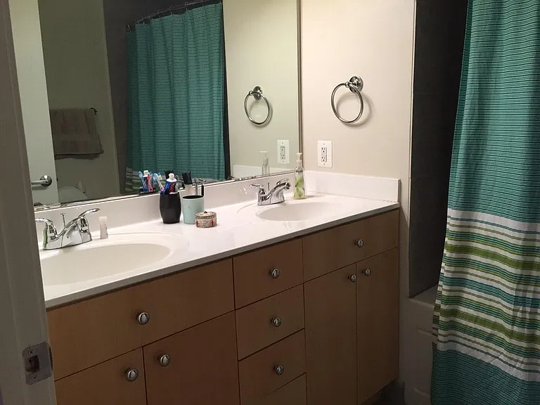Master bathroom