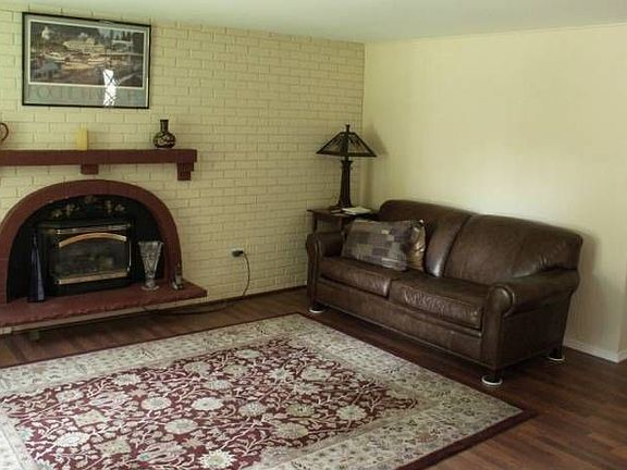 Gas Insert in Living Room