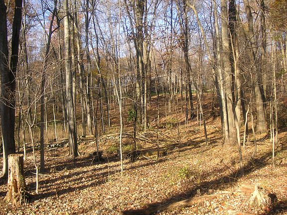 2nd image of 5 Lower Hook Road