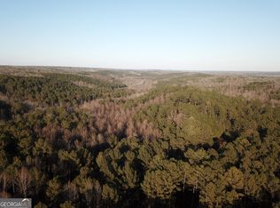 0 Mount Zion Church Rd Tract 3, Whitesburg, GA