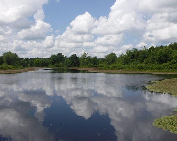 1st image of 43.94 Acre Limerick Dr