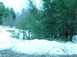 58 Pemi Shore Ln, Franklin, NH 03235