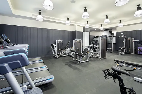 Rented by Extell Marketing Group LLC | media 48