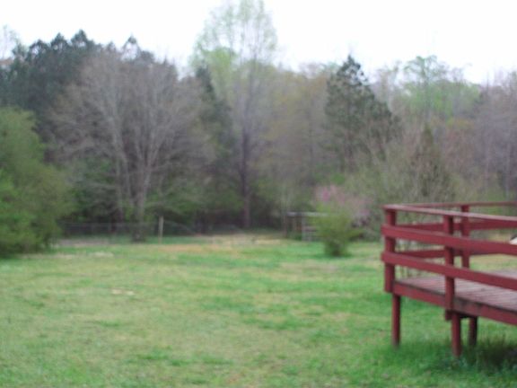 Large Back Yard, Rear Deck