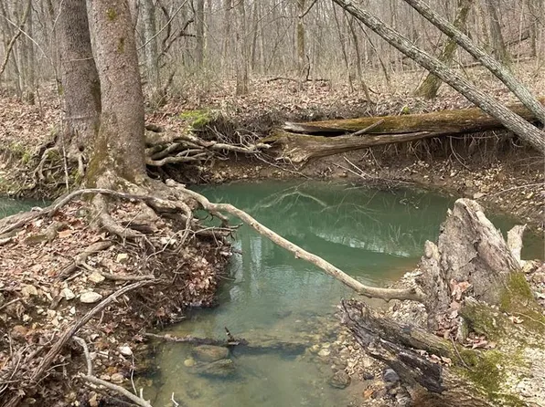 65/ACRE S Pendleton Lost Creek Rd, Warrenton, MO 63383