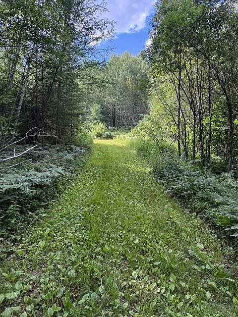 1st image of N Moose Lake Rd