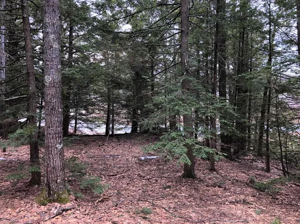 0 Quaker Street, Deering, NH 03244