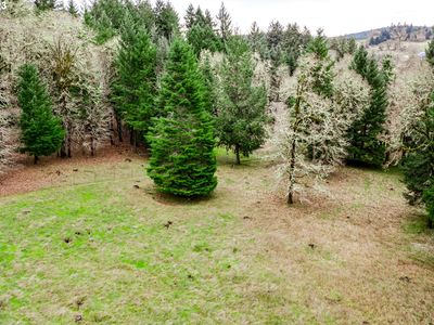 Gent Rd #1, Junction City, OR, 97448