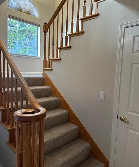 25 Coopers Hawk Ct — Photo 9