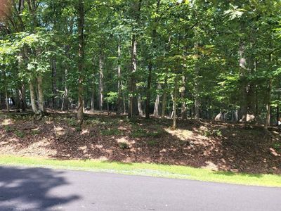 29 Bridlewood Dr, Palmyra, VA, 22963