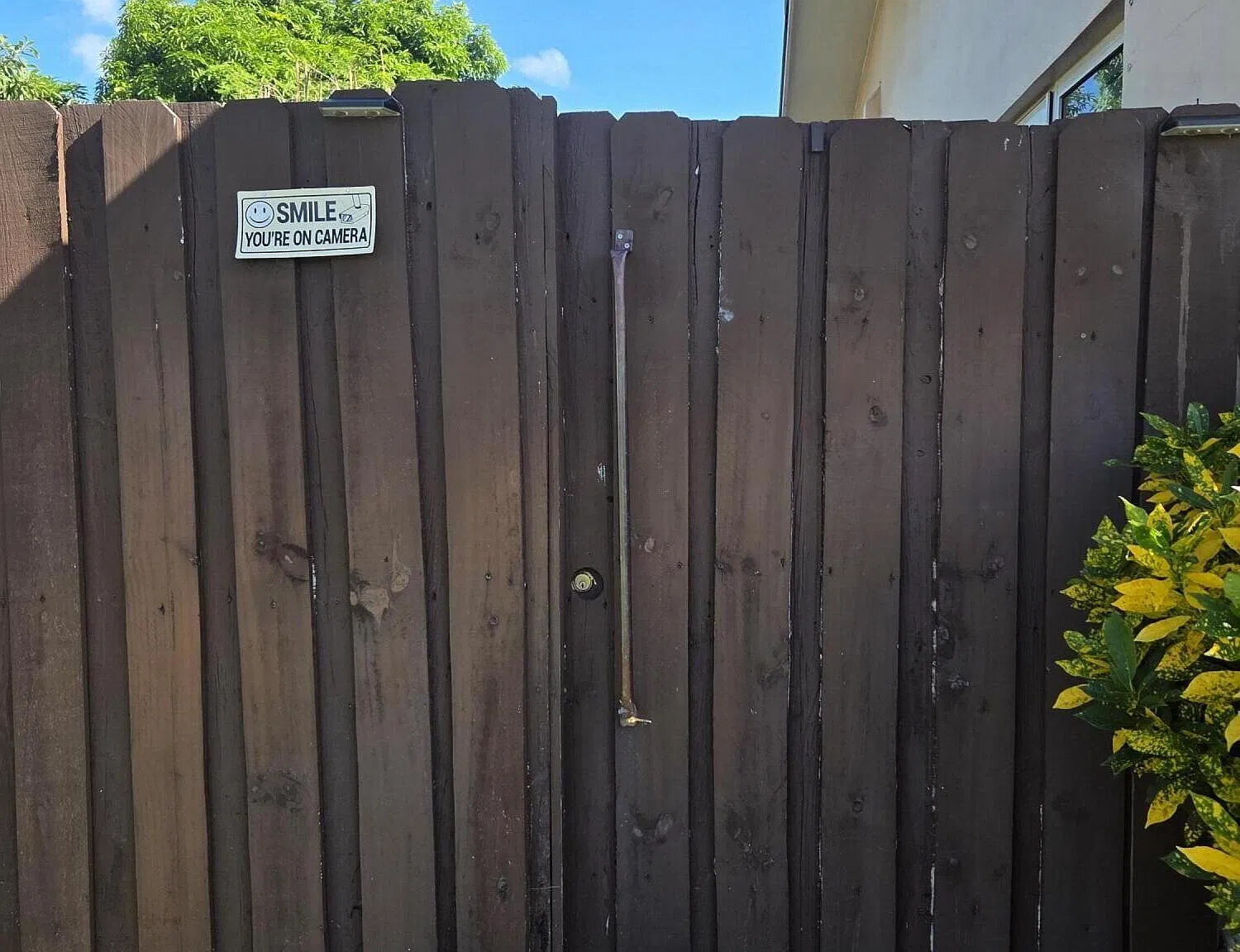 1 bed, 1.0 bath, 600 sqft, $1,800 — Photo 2