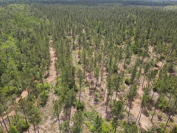 5th image of LOT 2 Rocky Creek Rd