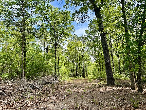3rd image of 284 Buckboard Rd
