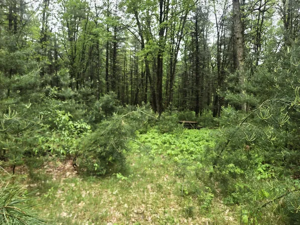 2709 S Jenny Cir, Baldwin, MI 49304