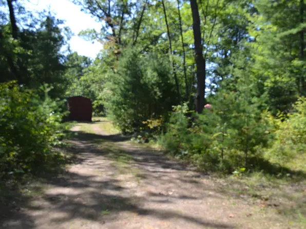 2178 W Cedar Lake Rd, Greenbush, MI 48738