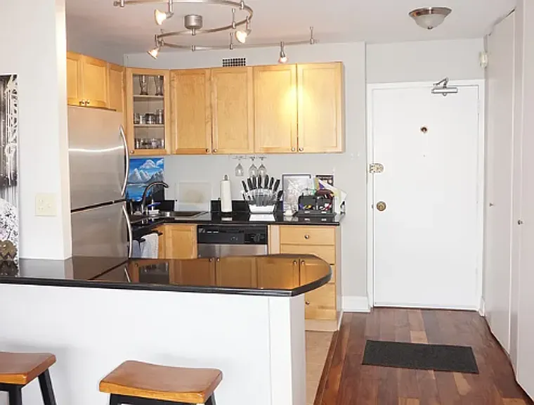 1360 N Sandburg Ter #2204C — Photo 7