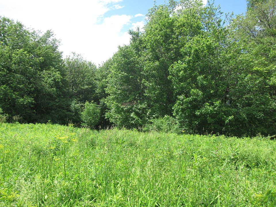 2nd image of Sterling Creek Rd