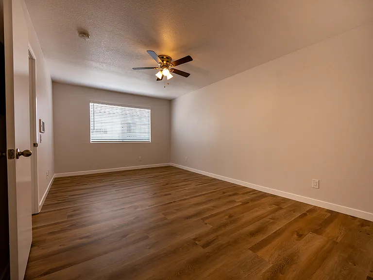 265 Ash Ave #D — Photo 12