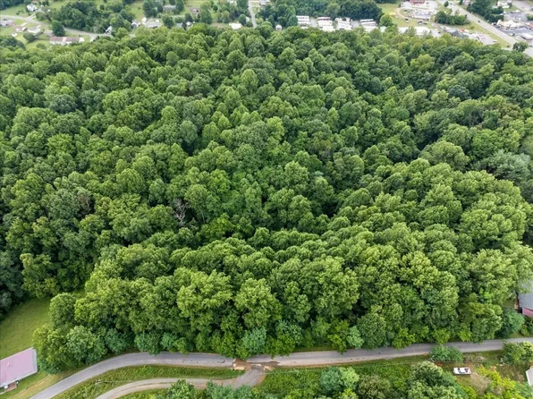 Orchard Dr, Pembroke, VA 24136