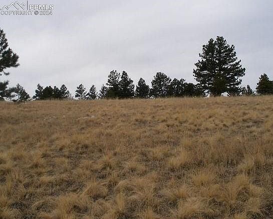 1st image of 271 Moffat Cir