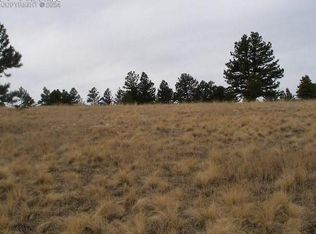271 Moffat Cir, Cripple Creek, CO 80813