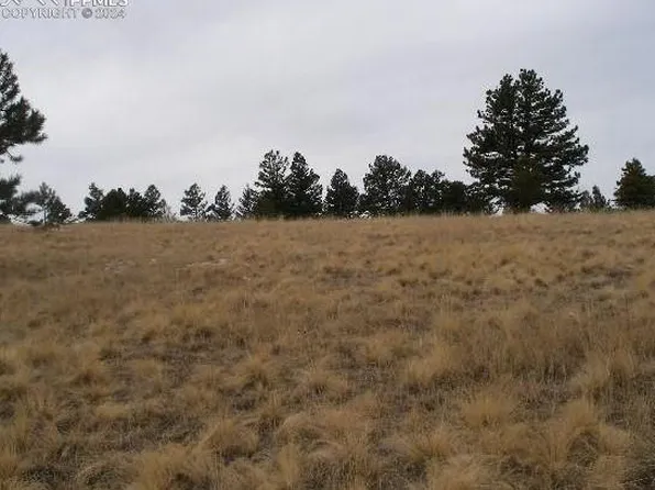 271 Moffat Cir, Cripple Creek, CO 80813