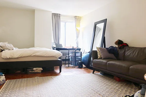 Rented by Ethan Blinder, LREB | media 1