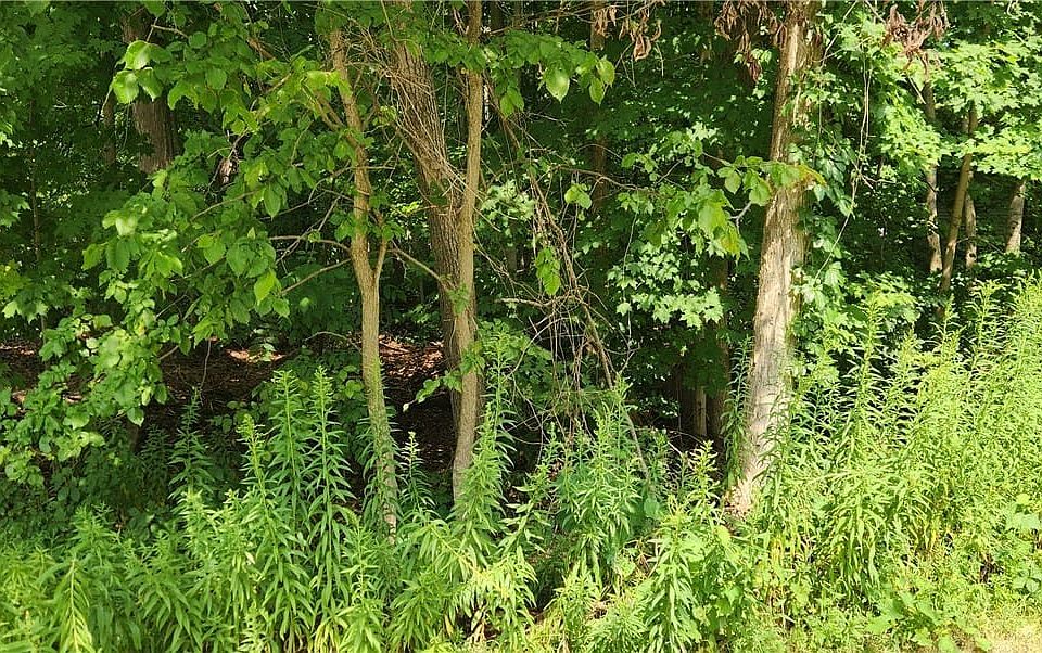 2nd image of V L Boston State Rd