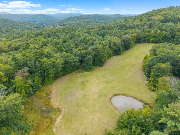 Lots 32/33 Spec Pond Road, Porter, ME 04068