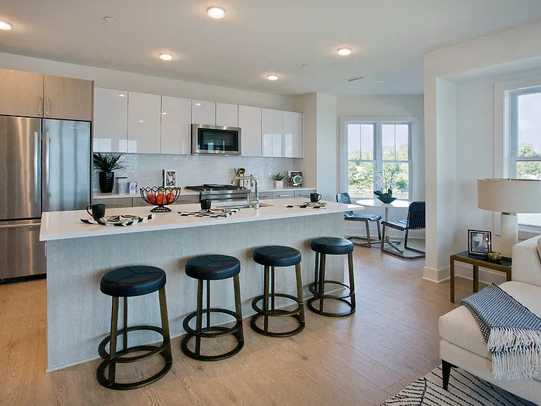 Designer Kitchen