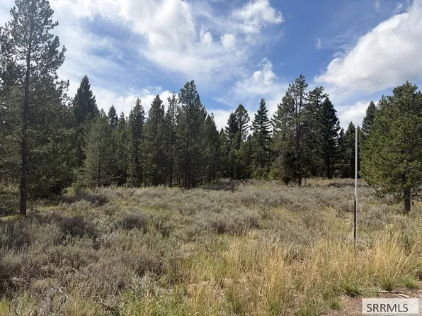 2830 NE Sagehen Dr, Island Park, ID 83429