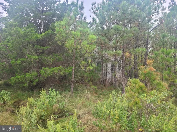 1736 Crocheron Rd, Toddville, MD 21672