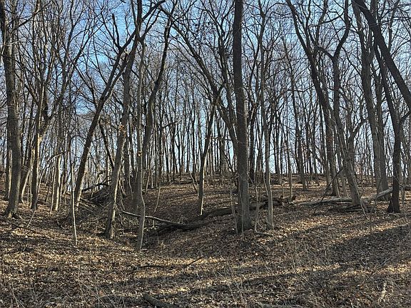 4th image of 2960 N 2553rd Rd Lot 2