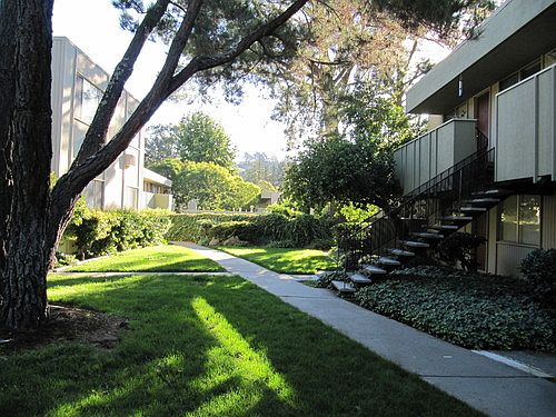 3rd image of 2130 Ascot Dr APT 227