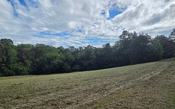 4th image of LOT 1 Holt Dr