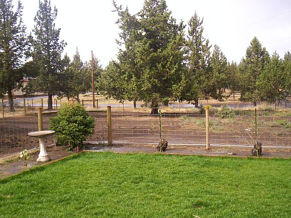 Front lawn & property