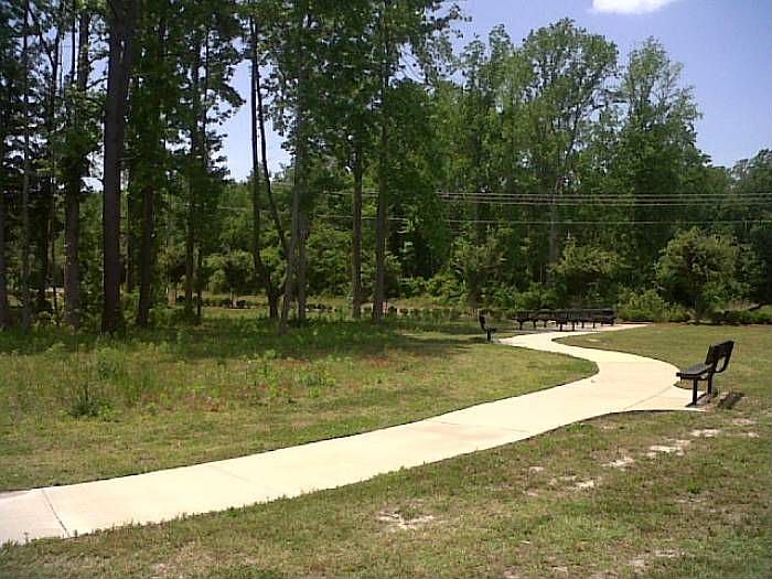 Picnic Area in Community